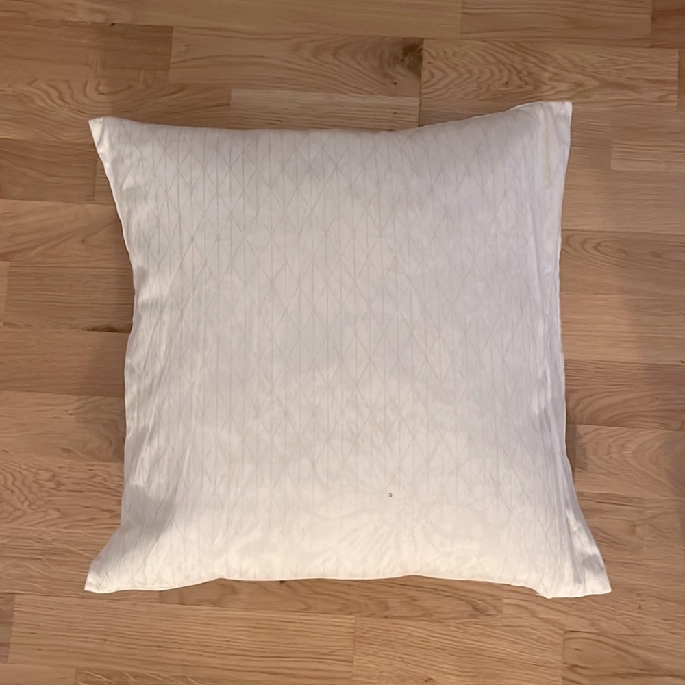 Modern style pillow